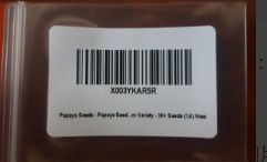 Papaya Seeds, Pawpaw Seeds, 192 Papaya Seeds